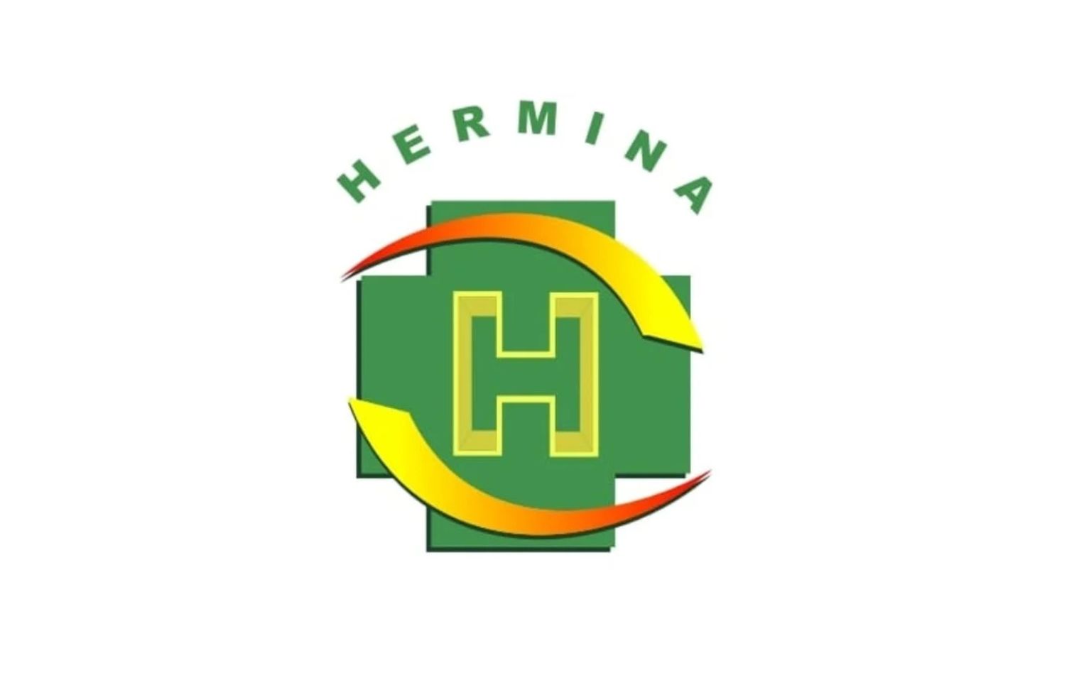 Hermina Group Medikaloka
